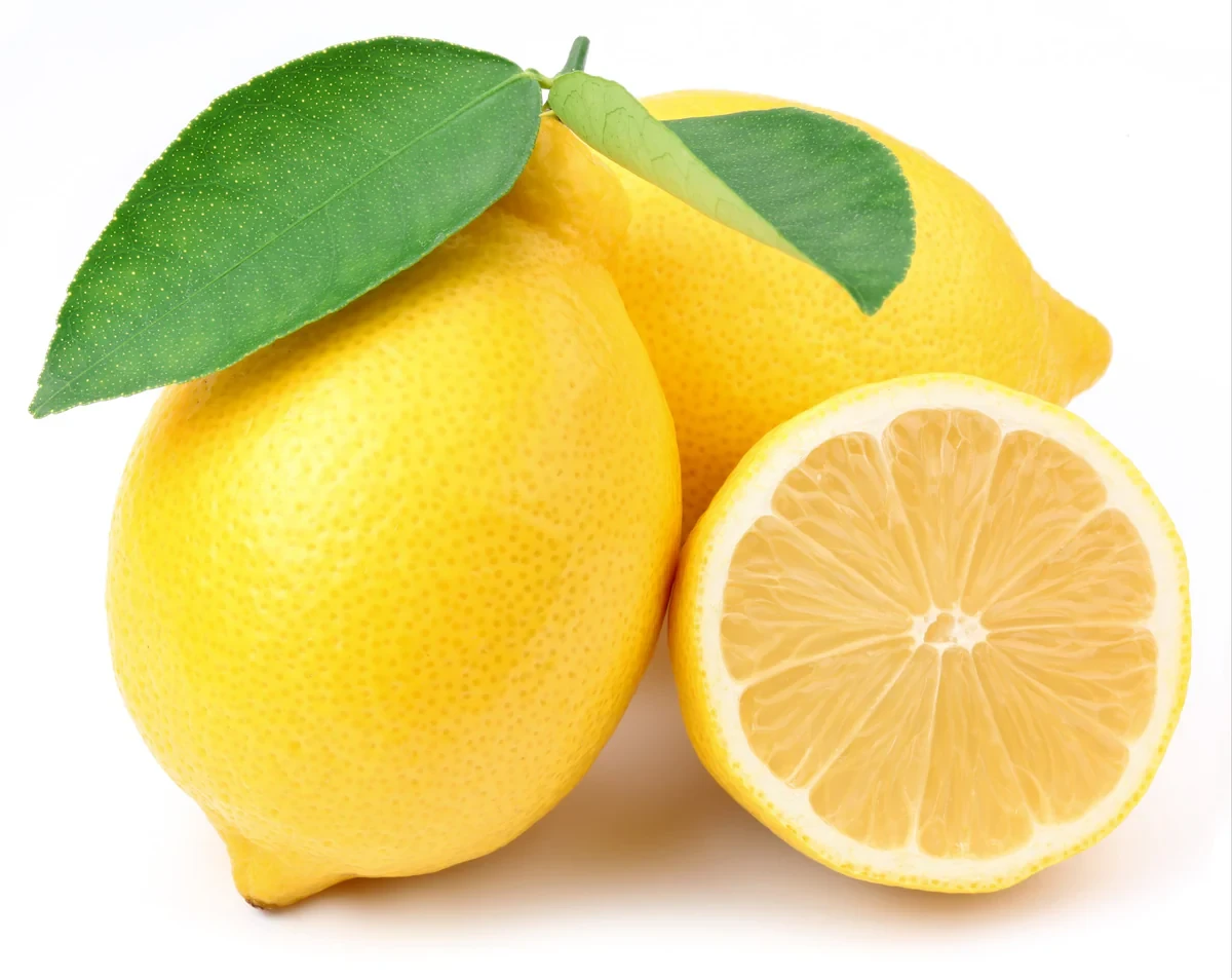 FRESH LEMON