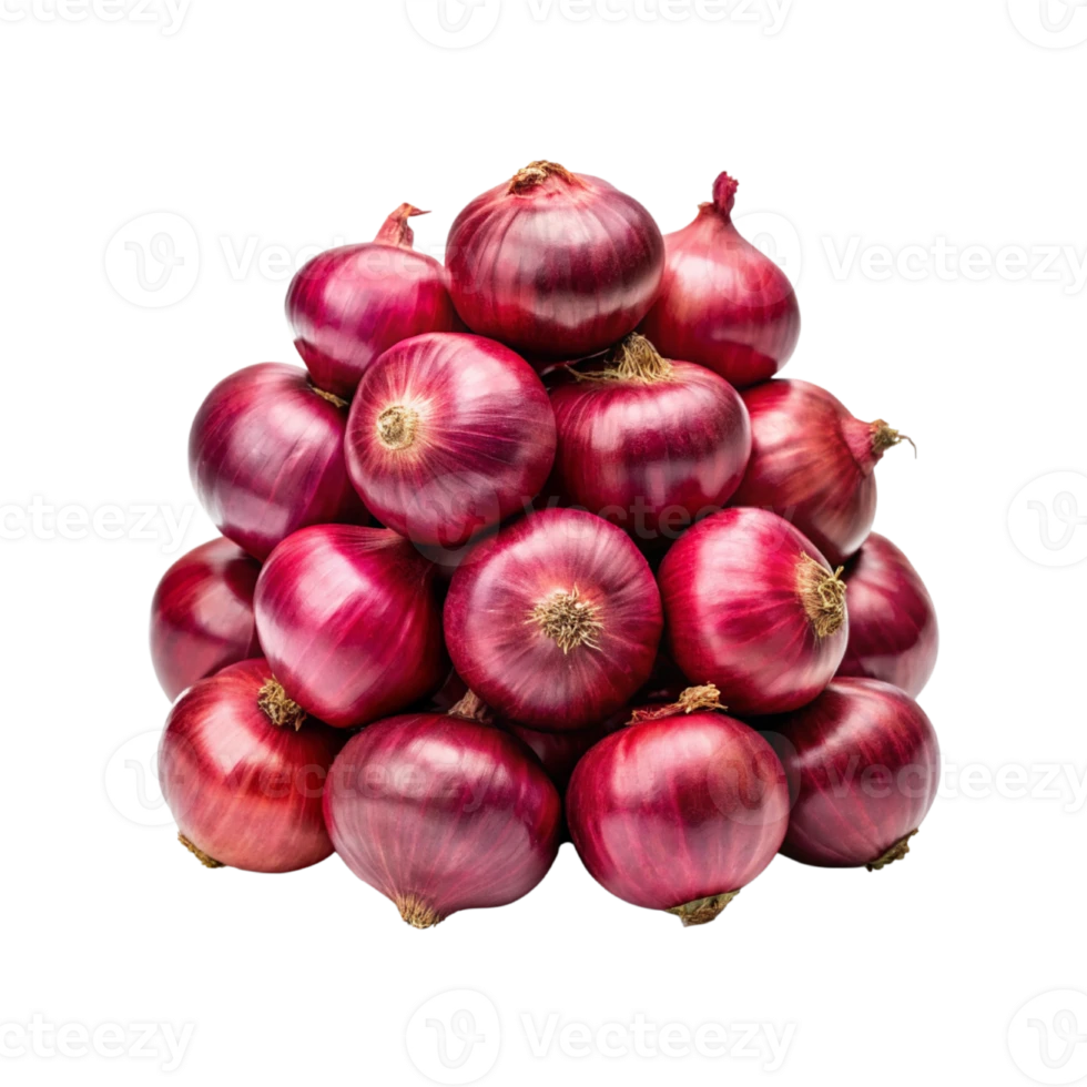 RED ONION 1C