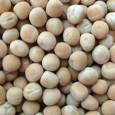 WHITE PEAS