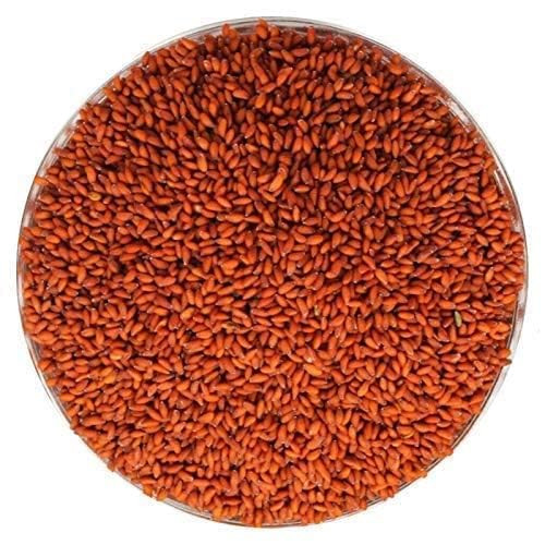 chamsur seed