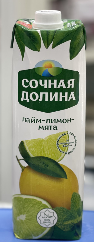 LEMON MINT JUICE(UZBEK)