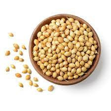 CORIANDER SEED (KETUMBAR)