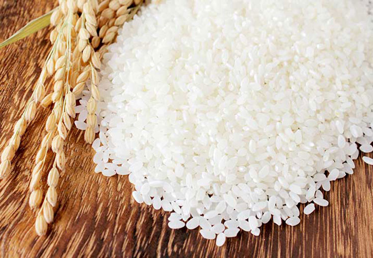 JAPANESE RICE