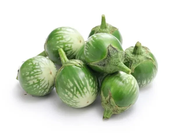 FRESH NASU VEGETABLE