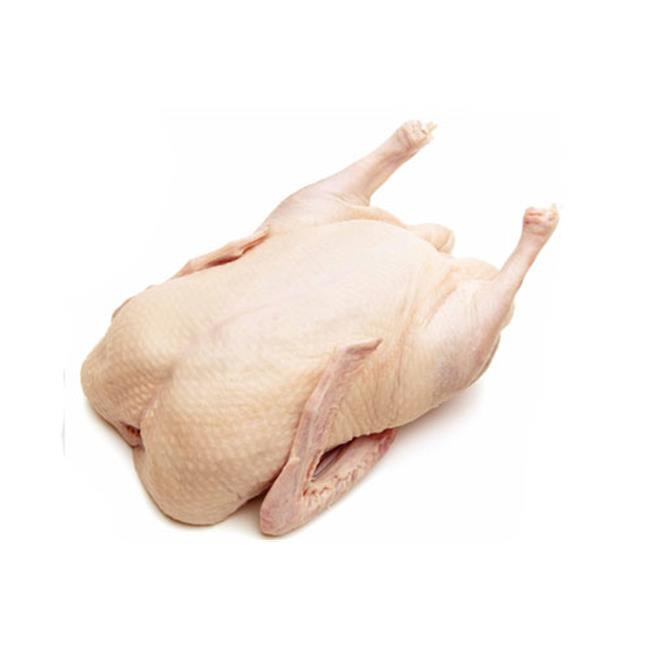 DUCK WHOLE1.6-1.7