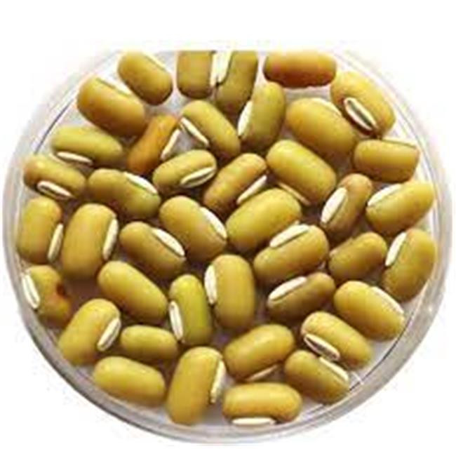YELLOW PEYIN BEANS