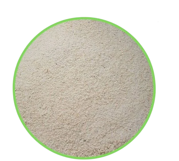 GARI POWDER