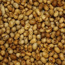 ROASTED SOYABEAN(NEPALI)