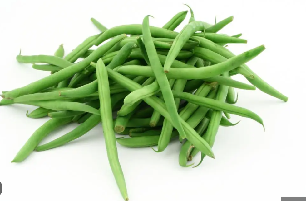 FRESH GREEN BEAN