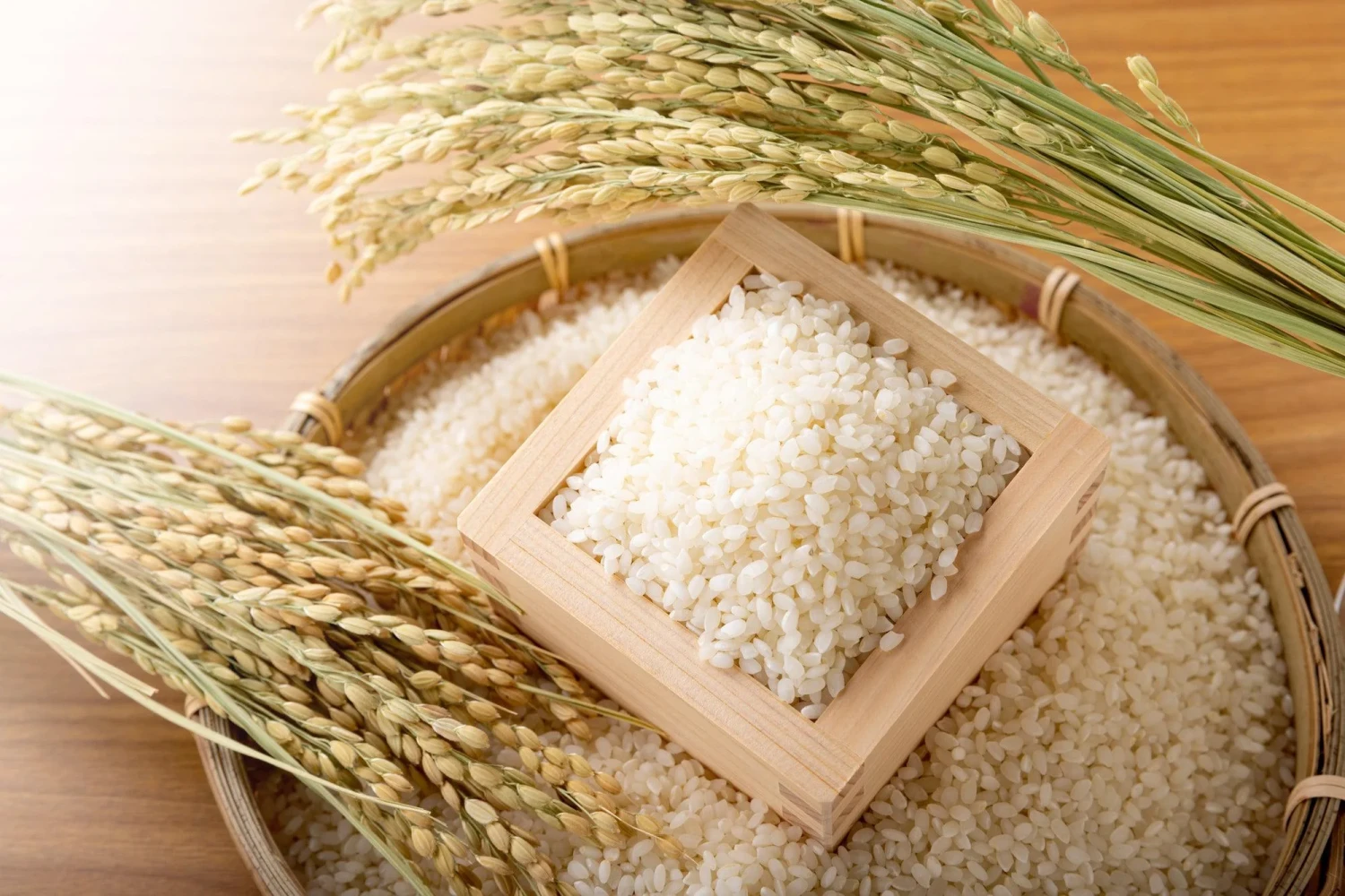 Japanese rice
