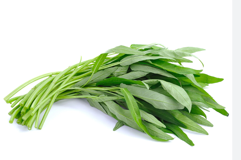 FRESH WATER SPINACH(MORNING GLORY THAI)