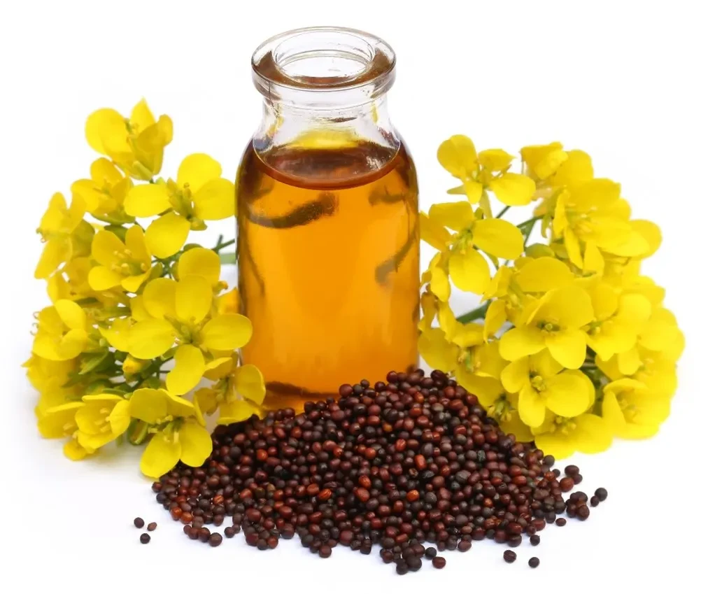 MUSTARD OIL