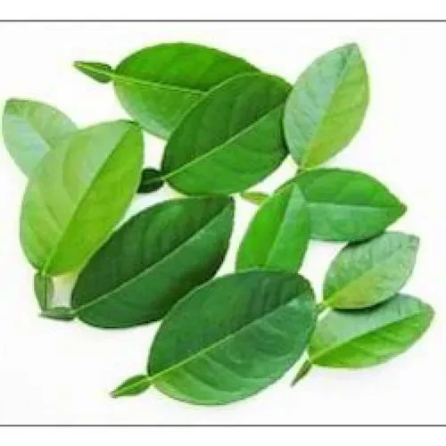 Lemon leaf 100 gm