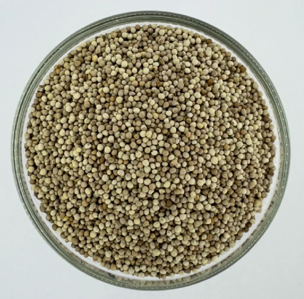 silam seed